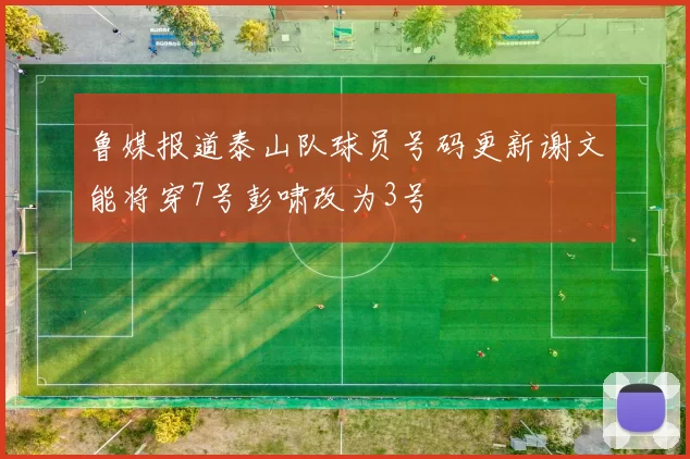 鲁媒报道泰山队球员号码更新谢文能将穿7号彭啸改为3号